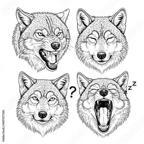 Set of four handdrawn wolf heads showing various emotions and expressions.