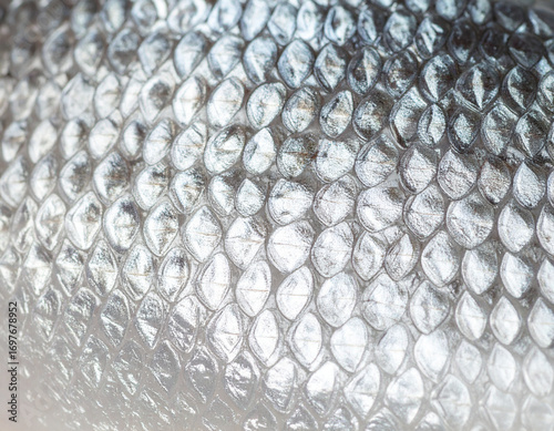Gray spotted fish scales