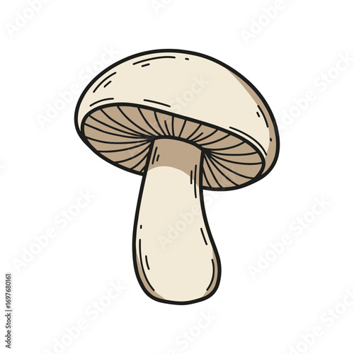 Detailed drawing of a single mushroom with light brown cap and white stem – stock vector flat illustration