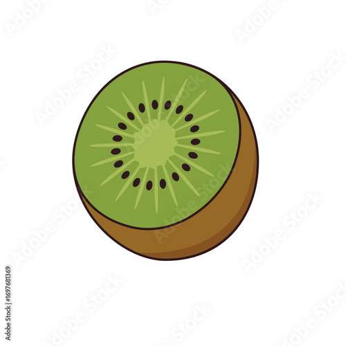 Ripe kiwi fruit, slice or section isolated on white, vector illustration