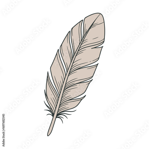 Detailed illustration of a brown feather – stock vector flat illustration