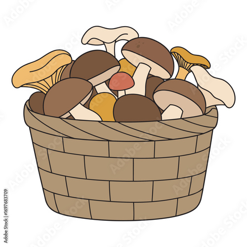 Variety of fresh mushrooms in a woven basket – stock vector flat illustration