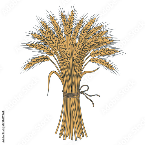 Bundle of golden wheat tied with ribbon – stock vector flat illustration