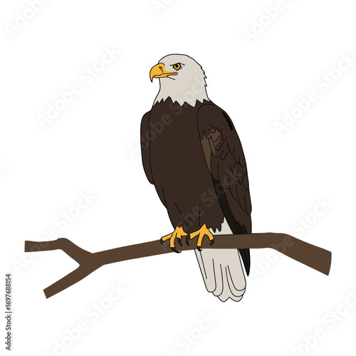 Bald eagle illustration on branch – stock vector flat illustration