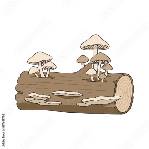 Illustration of mushrooms growing on a wooden log – stock vector flat illustration