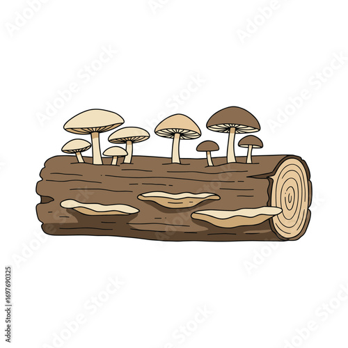 Mushrooms growing on log: nature's fungi on wood illustration – stock vector flat illustration