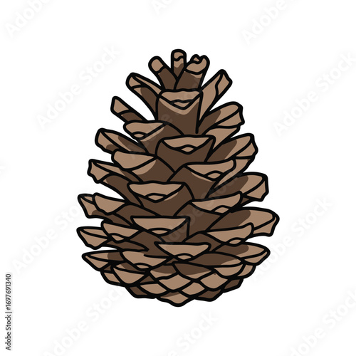 Detailed pine cone drawing – stock vector flat illustration
