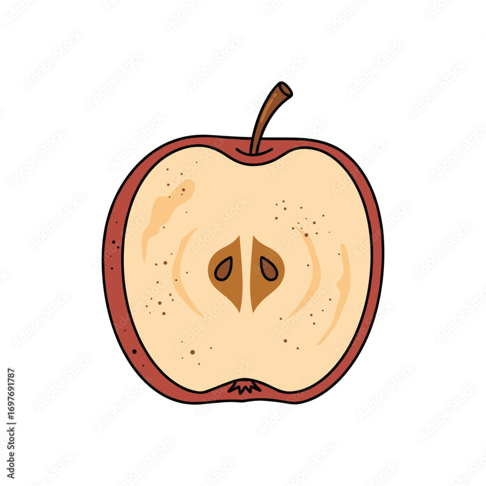 Obraz premium Cross-section of a fresh red apple with seeds displayed – stock vector flat illustration