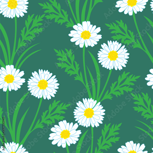 Vector seamless pattern with daisies on a green meadow
