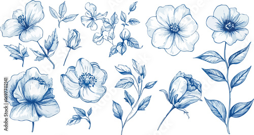 Delicate blue watercolor floral illustrations with hand drawn sketchy botanical elements