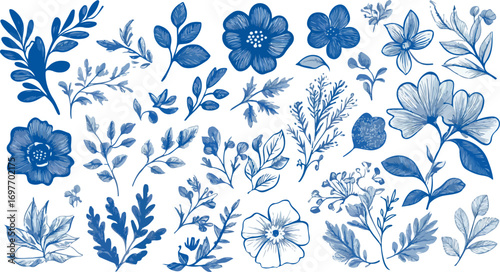 Collection of delicate blue floral and botanical illustrations on a white background