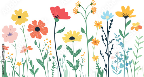 Vibrant watercolor wildflowers with delicate stems and leaves on a white background