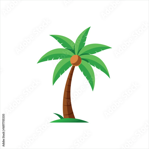 Coconut Palm Tree Silhouette with Green Leaves and Single Coconut