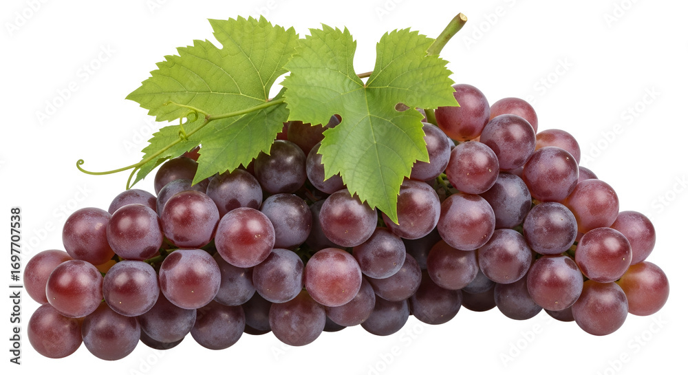 Fototapeta premium Bunch of fresh ripe red grapes with leaves isolated PNG with Transparent Background