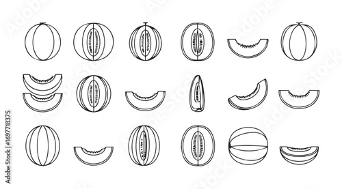 Collection of various melon slices and whole melons in a simple silhouette