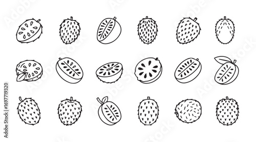 Collection of hand drawn soursop fruit illustrations in silhouette style
