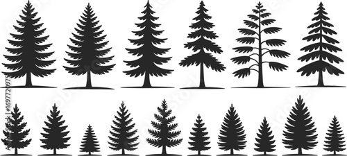 Pine and fir tree silhouettes, evergreen forest vectors, nature icons, black tree shapes, coniferous tree illustrations, isolated on white background