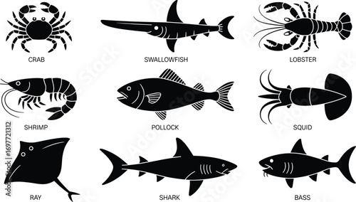 Sea creatures silhouettes, crab, swallowfish, lobster, shrimp, pollock, squid, ray, shark, bass, marine life icons, aquatic animals vector