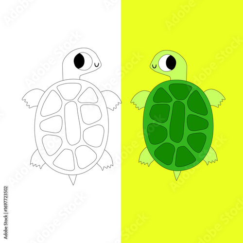 Vector of a pair of cute turtles in color and outline in EPS format
