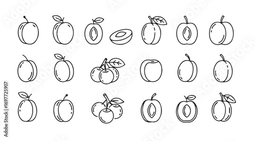 Collection of hand drawn plum fruit illustrations in a simple silhouette style