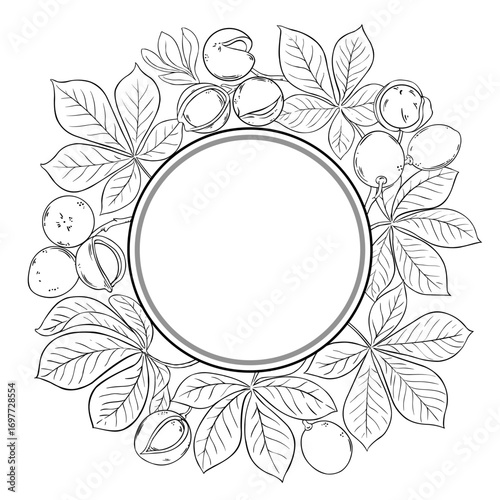Mongongo Branch with Nuts and Leaves Outline Round Frame. Organic natural nutritional healthy food ingredient, vegetarian diet product. Vector isolated for design or decoration.