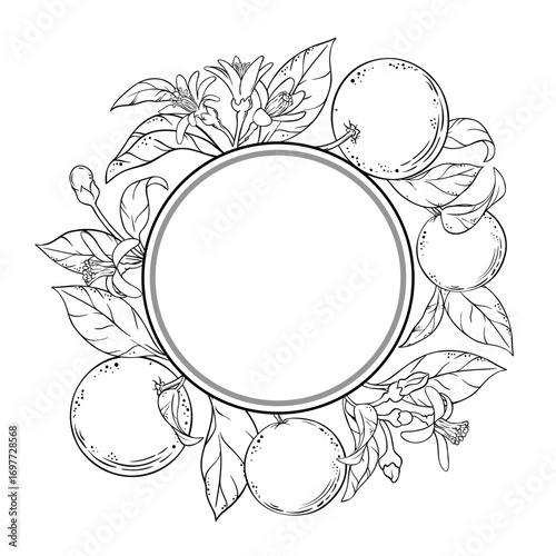 Orange Branch with Flowers, Fruits and Leaves Outline Round Frame. Organic natural nutritional healthy food ingredient, vegetarian diet product. Vector isolated for design or decoration.