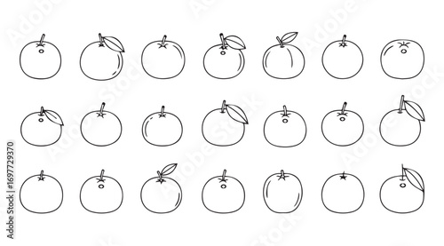 Collection of hand drawn orange fruit silhouettes with leaves and stems silhouette