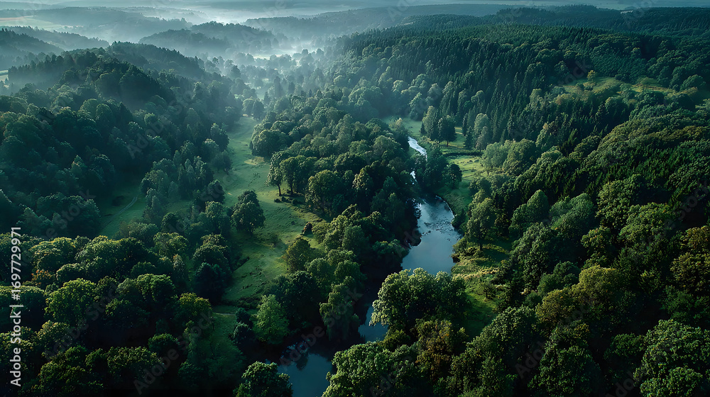 Obraz premium Aerial view of a lush green forest and river winding through the landscape 