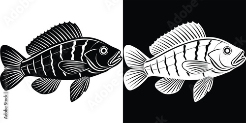 Striking black and white fish illustration with bold stripes on contrasting backgrounds, perfect for nature and aquatic themes.
