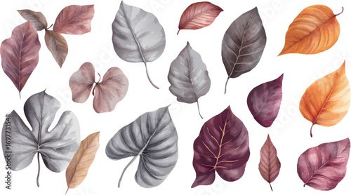 Collection of beautifully rendered watercolor painted autumn leaves in various shapes and colors