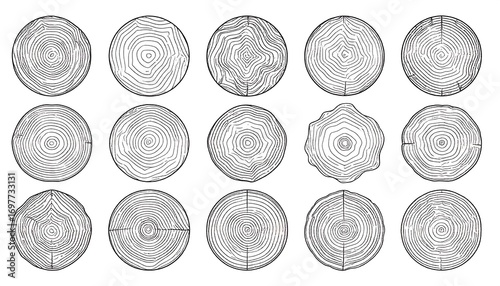 Collection of wood cross-sections
