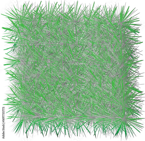 green grass background