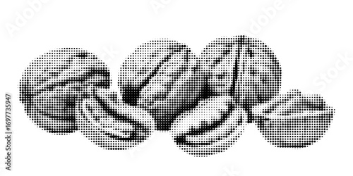 Walnut halftone style, retro pop art, black and white dots pattern, vintage engraving effect, isolated on white background