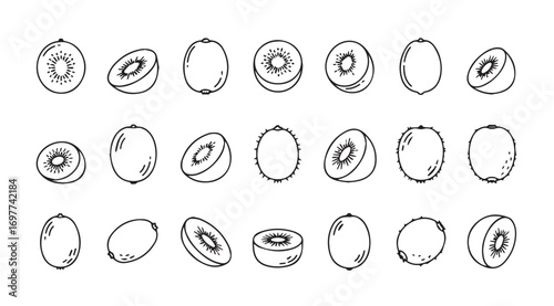 Collection of hand drawn kiwi fruit slices and whole fruit silhouette