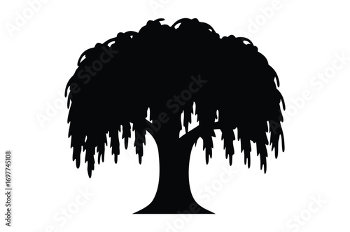 Willow tree silhouette vector illustration 