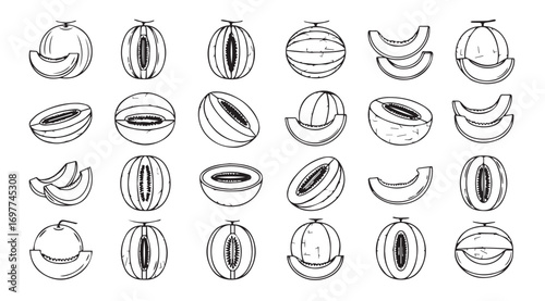 Collection of hand drawn melon slices and whole melons silhouette