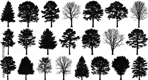 "Wide collection of detailed black tree silhouettes including pine, oak, leafless, and evergreen trees, ideal for nature and design projects."