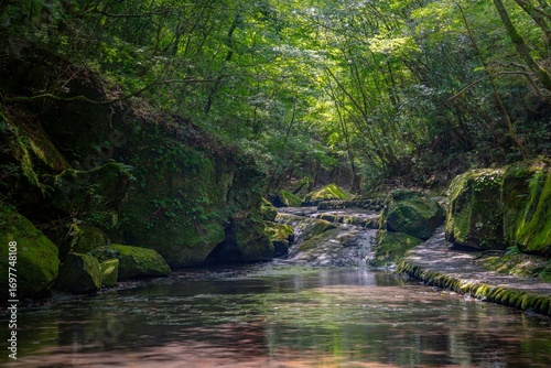 夏の岳切渓谷、森林と川の風景