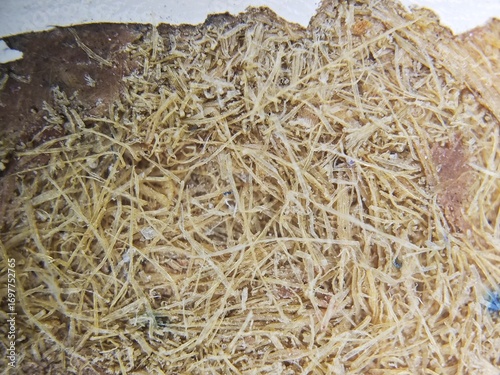 A macro close-up of a damaged plywood tabletop, showing swollen wood fibers and peeling paint caused by moisture. The distressed and raw texture is perfect for grunge, abstract, or industrial backgrou