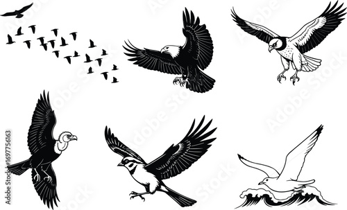 Birds in flight vector set, eagle, hawk, vulture, songbird, gull, flock formation, wildlife silhouettes, soaring wings, hunting pose, nature scene