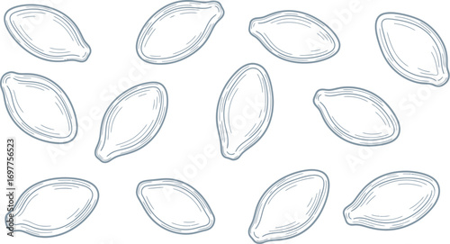 Scattered pumpkin seeds with a delicate outline, representing autumn harvest and healthy snacks.