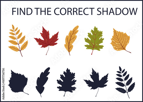 Find the correct shadow of autumn leaves. Worksheet. Educational logical game for kids. Fall Leaves. Vector illustrations