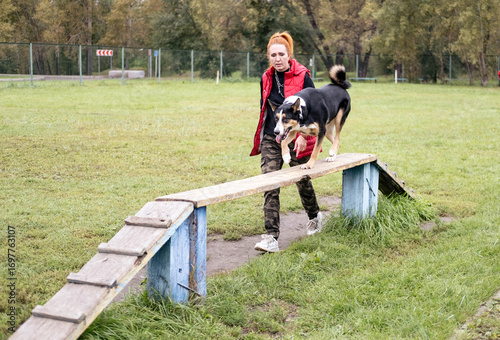 Woman with red hair training a dog on an agility ramp in a grassy park, showcasing teamwork and skill development in a vibrant outdoor setting