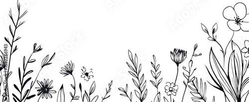Delicate hand drawn black ink sketch of wildflowers and a butterfly on a white background