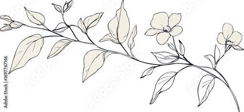 Delicate hand drawn sketch of a twig with blossoms and leaves in soft pastel colors