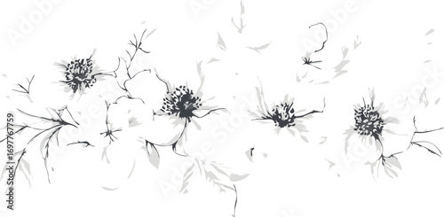 Delicate hand drawn dandelion seed heads blowing in the wind on a white background