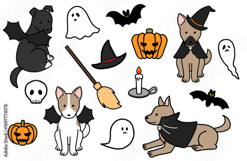 ハロウィンコスプレをした犬とハロウィンアイテム