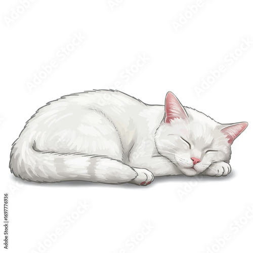 A peaceful sleeping white cat is beautifully depicted in a realistic 2D vector illustration, isolated on a clean, plain white background, conveying tranquility and feline comfort.
