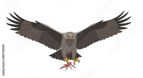 Majestic raptor descends with prey clutched firmly in talons a powerful bird of prey in mid flight
