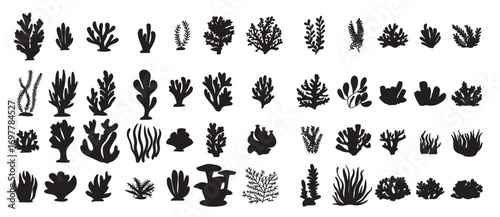 collection of silhouette underwater plants hand drawn art  vector illustration